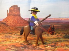 Playmobil Western / Indiens