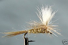 1 x Mouche Sèche Cahill Parachute H12/14/16/18 mosca dry fly fishing fliegen