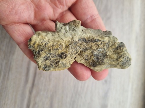 Rare peau fossile - ⚠️rare⚠️,