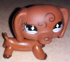 Petshop chien teckel 640