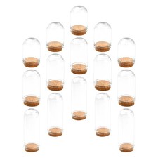  Mini dôme en verre de fleurs éternelles, 15 pièces, Cloche d'exposition en