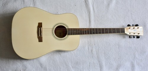 Cort earth 100 guitare - cort,