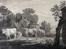 Paulus Potter Des boeufs près d'une chaumière  gravure au burin  1853