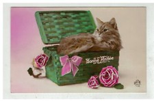 CHAT #17076 CHAT DANS UN PANIER EN OSIER AVEC DES ROSES BONNE ANNEE