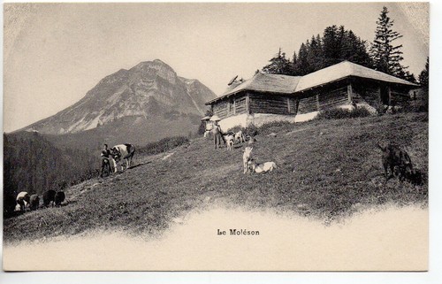 Suisse switzerland chalets - -,