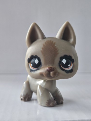 Littlest pet shop - pet,