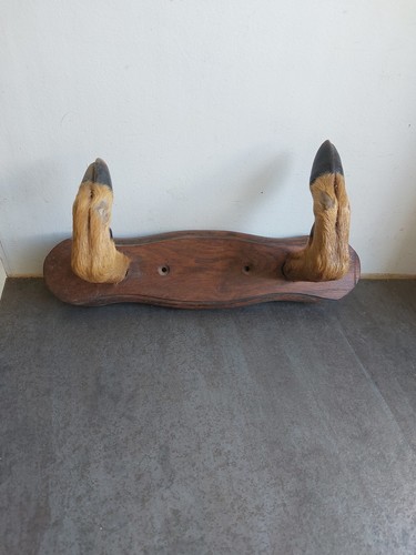 Ancien porte manteaux - ancien, porte-manteaux