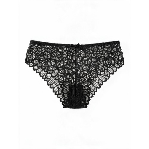 Culotte dentelle transparente - culotte,