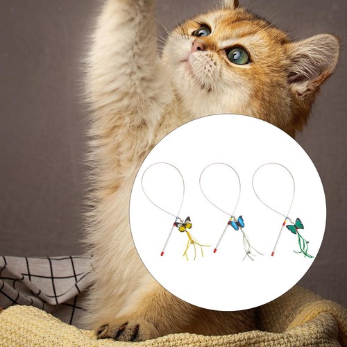 Jouet pour chat avec - jouet,