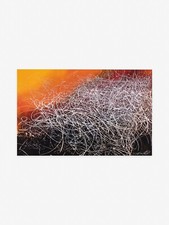 José Parla - Seeing in