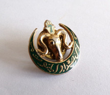 Insigne militaire regiment - 7°,