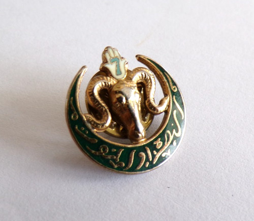 Insigne militaire regiment - 7°,