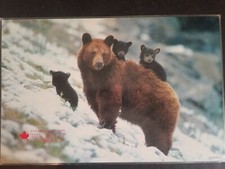 Vintage Canada Canadian