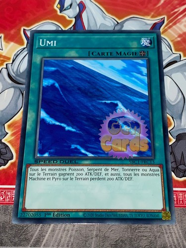 Carte umi sbc1 - yu, oh