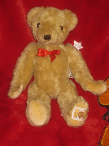 Ours teddy bear yes - &, no