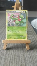 Carte Pokemon " MEGANIUM "