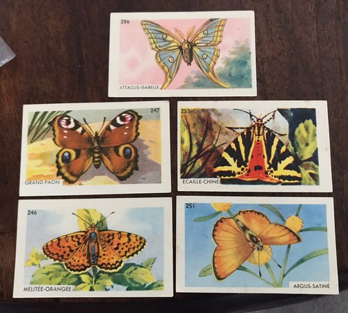 Lot chromos histoire - lot, 5