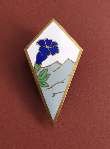 Militaria ancien insigne - ancien,