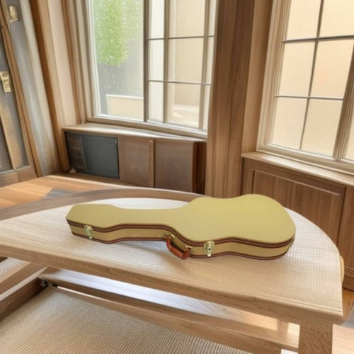 étui guitare électrique - guitare,