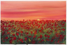 champ de coquelicots au