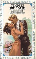 Tempête sur l'oasis -