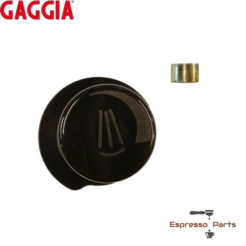Gaggia classic steam - classic, v2