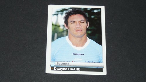 Haare aviron bayonnais - n°49,