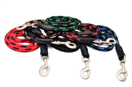 Laisse pour chien courte - chien,