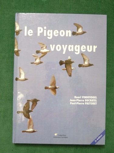 Pigeon voyageur par - pigeon,