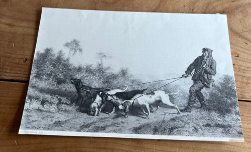 Gravure ancienne chien - gravure,