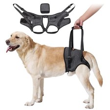 Harnais de Levage pour Chien