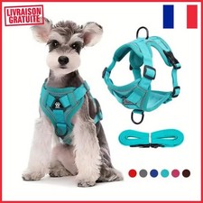 Harnais chien No-Pull réglable, anneau frontal + poignée – reflective