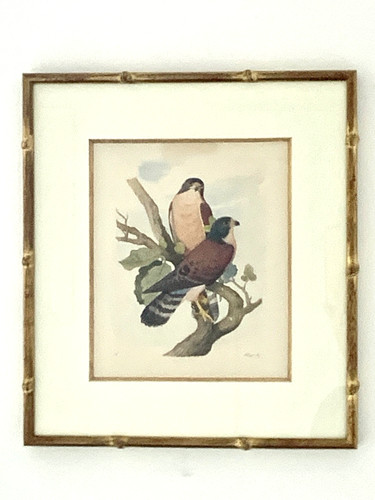 Wahast aquarelle gouachée - wahast,