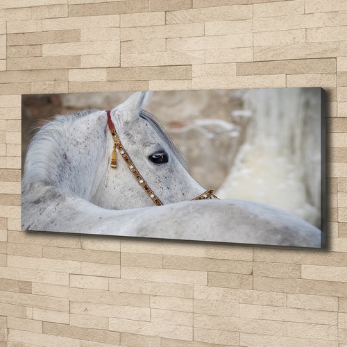 Tulup image sur toile tableau - image,
