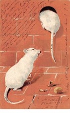 Animaux - n°63696 - Rat - Deux souris, l'une d'elle rentrant dans un trou