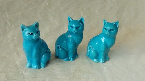 Petits chats position assise - 3,