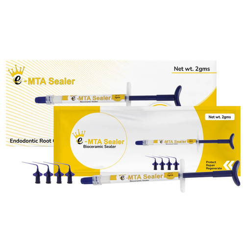 Scellant dentaire mta g - 2,