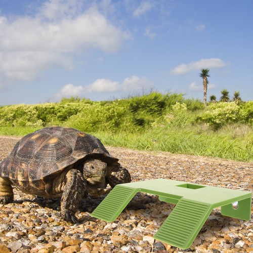 Terrarium tortue plateforme - terrarium,