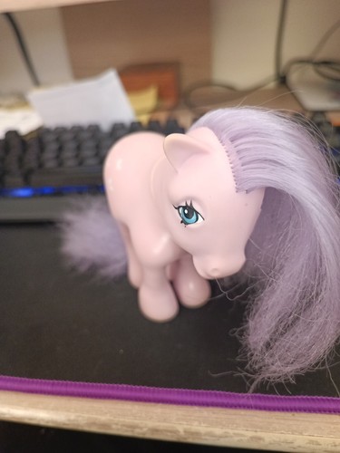 Little pony canella - pony, year