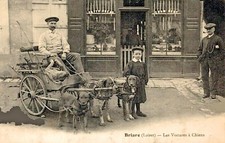CPA/ DEP 45 / BRIARE / ATTELAGE DE CHIENS/ attelage du charcutier