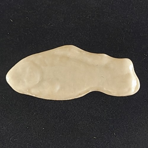 Poisson fève limoges - le,