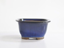 Pot À Bonsai Wonder Shigaraki