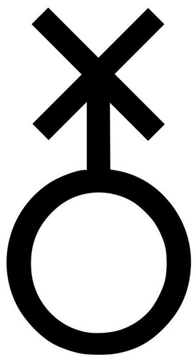 Nonbinary gender symbol vinyl - nonbinary,