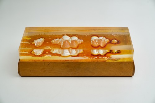 Vintage mid century modern - century,