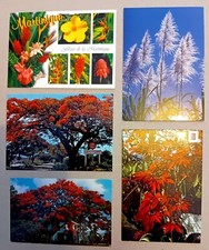 AY - Lot 5 cartes postales