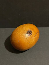 Objet de curiosité oeuf bois