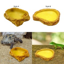 Plat d'eau pour reptiles