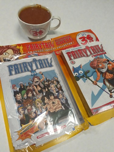 Manga fairy tail intégrale - manga,