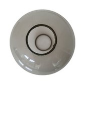 Gros Globe Tulipe De Lampe A Pétrole Gravure Grappe De Raison Tout Autour