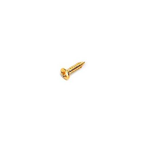 Vis contour humbucker - 8, 10x2mm